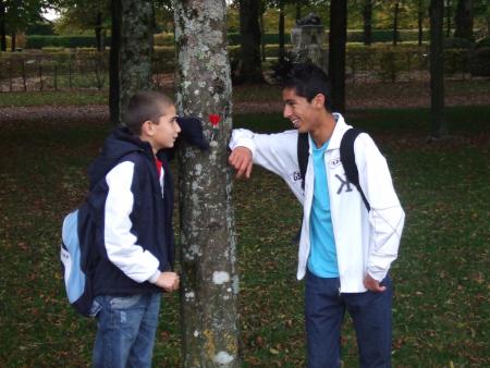 thibo & cem
